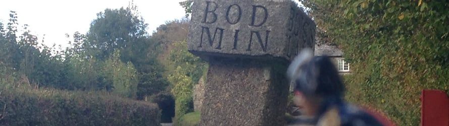 Bodmin Moor stone on cycling route